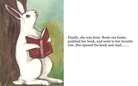 Book 2: The Power of Books: The Awakening