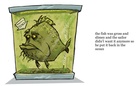 the fish