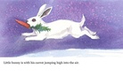 Little Bunny's Dream