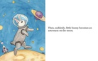 Little Bunny's Dream