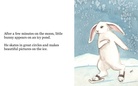 Little Bunny's Dream