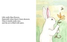 Lilly the Rabbit