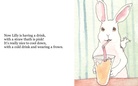 Lilly the Rabbit