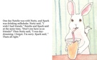 Lonely Bunny     By:  Abbie