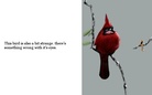Animals that look Like they Just Might Be Up To Something