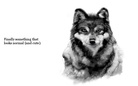 Animals that look Like they Just Might Be Up To Something