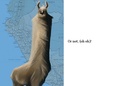 Animals that look Like they Just Might Be Up To Something
