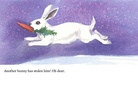 Mr. Carrots bad day