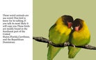 Animals      By:David & Vicky