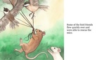 Little Bunny's Scary Adventure