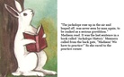 The Jackalope Dream