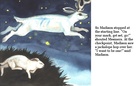 The Jackalope Dream