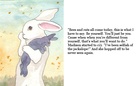 The Jackalope Dream