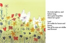 The Magic Meadow