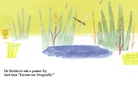 The Magic Meadow
