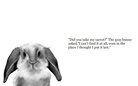 Did you take my carrot?