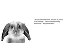 Did you take my carrot?