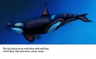 Deep In The Ocean