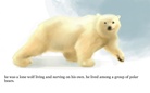 The Arctic Dog