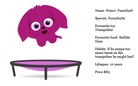 Profile of weird            
           pets.
      
      (stories for younger children)
