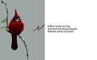 Haiku
          - about birds