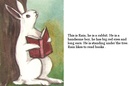Rabbit  Rain