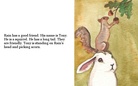Rabbit  Rain