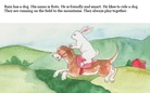 Rabbit  Rain