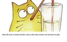 Cats, a mystery