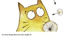 Cats, a mystery