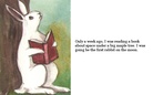 The First Rabbit on the Moon
