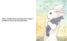 The First Rabbit on the Moon