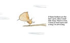 A Philosophy
On the Wing