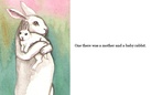 Mother Rabbit Loses Her Baby!