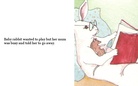 Mother Rabbit Loses Her Baby!