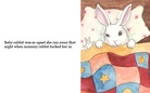 Mother Rabbit Loses Her Baby!