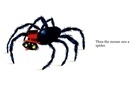 a spider saw