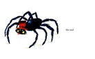 a spider saw