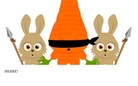 I am not a carrot