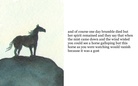 the wild spirit