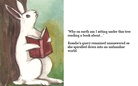 Rosalie in Wonderland: a bunny tale