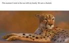 My Trip to the Zoo