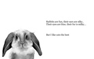 I Like Cats the Best