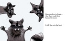 I Like Cats the Best