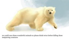 we can save the enviroment