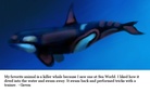 My Favorite Animal