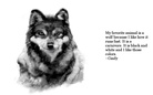 My Favorite Animal
