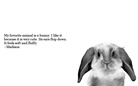 My Favorite Animal