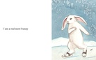 THE RABBIT IN THE SNOW