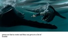 fast wild animals